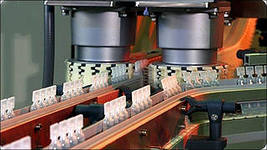 biometricheski klaster